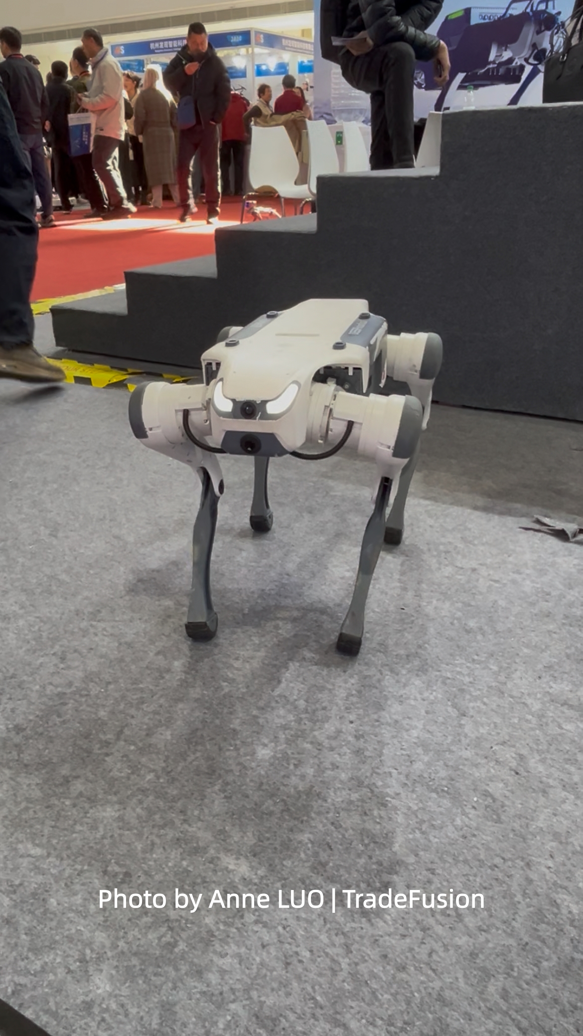 Quadruped robot
